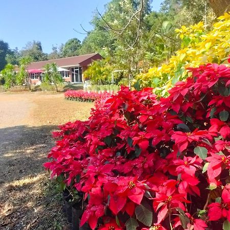 Pruksatara Garden Hotel Phu Ruea Exterior photo