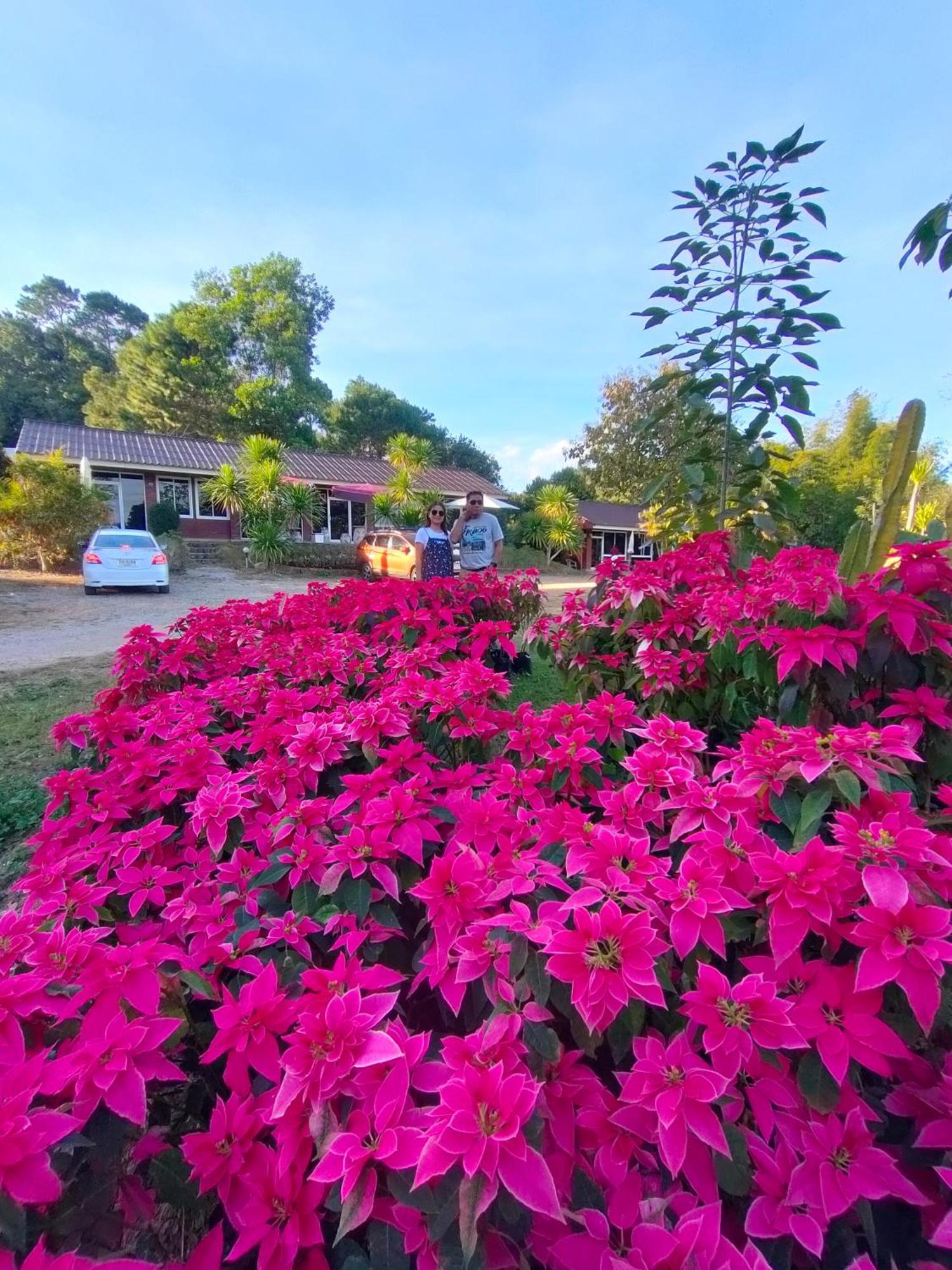 Pruksatara Garden Hotel Phu Ruea Exterior photo