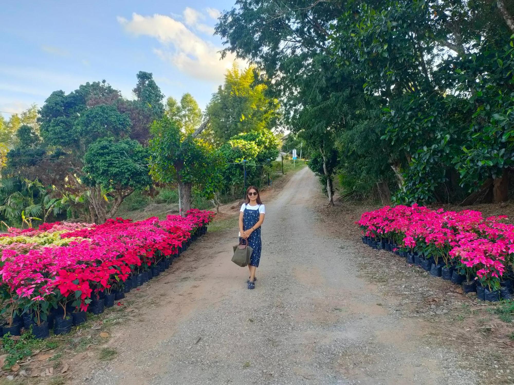 Pruksatara Garden Hotel Phu Ruea Exterior photo